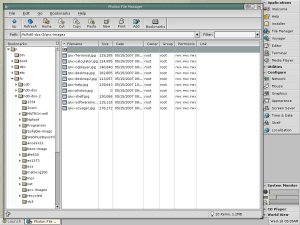 File Manager