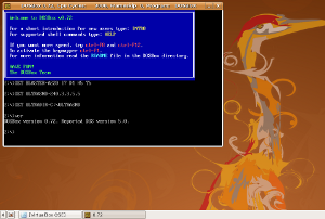 DosBox-linux